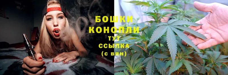 Канабис THC 21%  продажа наркотиков  Ардон 